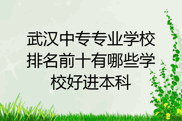 武汉中专专业学校排名前十有哪些学校好进本科