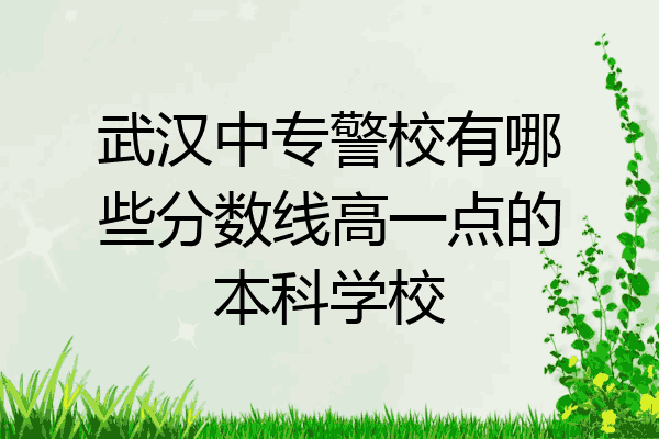 武汉中专警校有哪些分数线高一点的本科学校