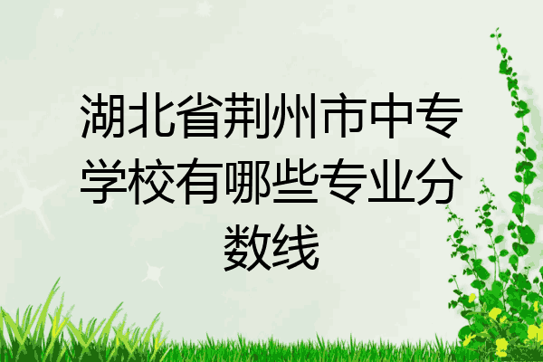 湖北省荆州市中专学校有哪些专业分数线