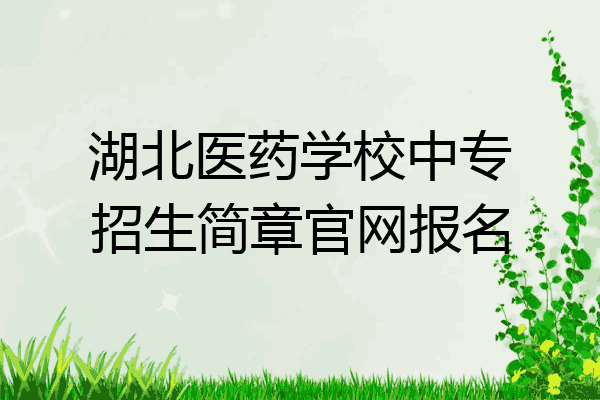 湖北医药学校中专招生简章官网报名