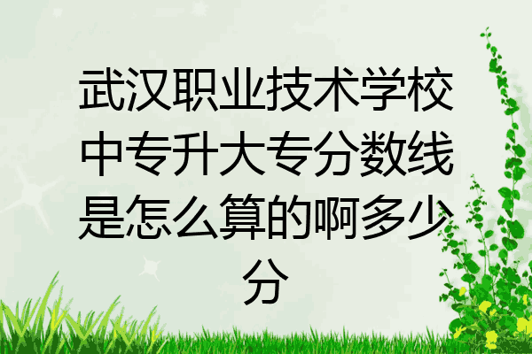武汉职业技术学校中专升大专分数线是怎么算的啊多少分