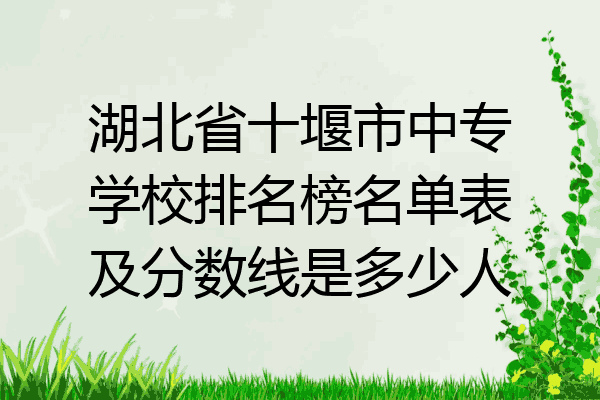 湖北省十堰市中专学校排名榜名单表及分数线是多少人