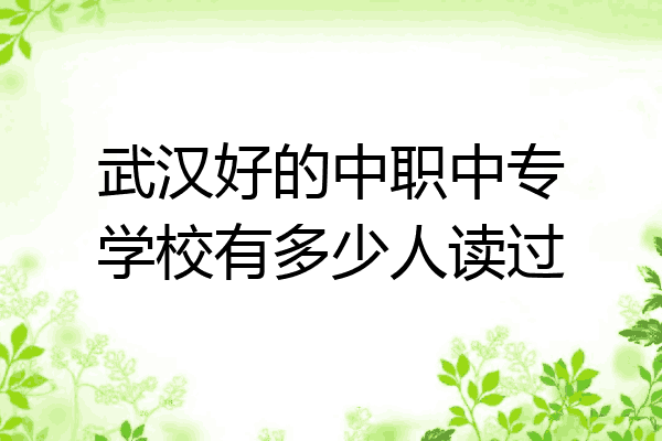 武汉好的中职中专学校有多少人读过