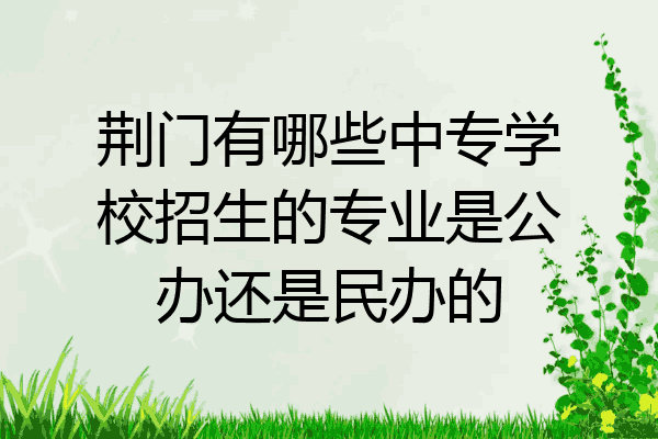 荆门有哪些中专学校招生的专业是公办还是民办的