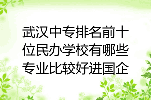 武汉中专排名前十位民办学校有哪些专业比较好进国企