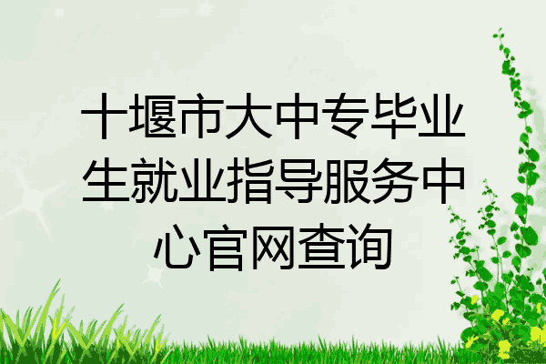 十堰市大中专毕业生就业指导服务中心官网查询