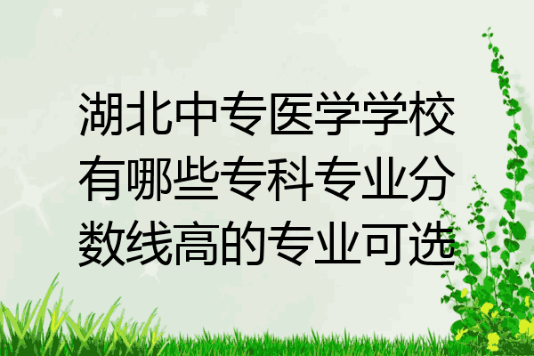 湖北中专医学学校有哪些专科专业分数线高的专业可选