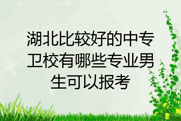湖北比较好的中专卫校有哪些专业男生可以报考