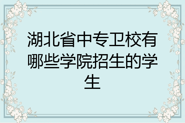 湖北省中专卫校有哪些学院招生的学生