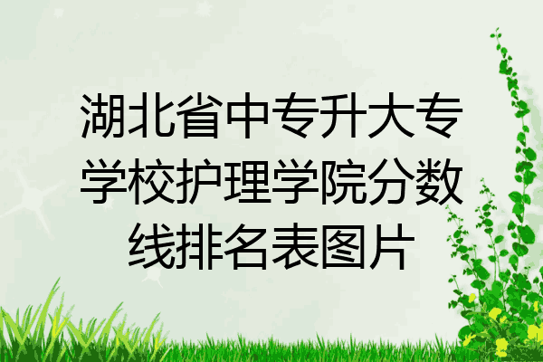 湖北省中专升大专学校护理学院分数线排名表图片
