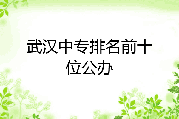 武汉中专排名前十位公办