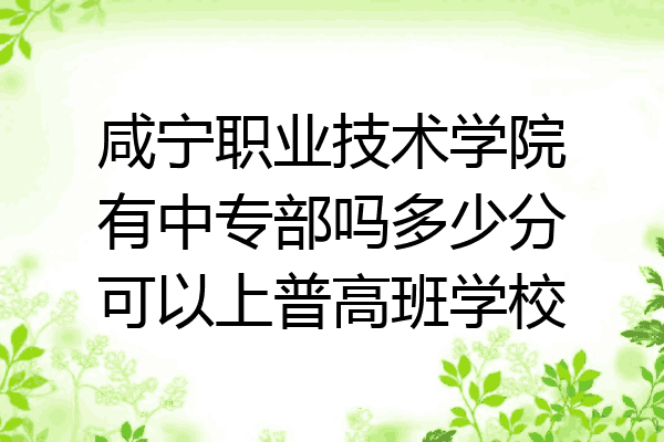 咸宁职业技术学院有中专部吗多少分可以上普高班学校