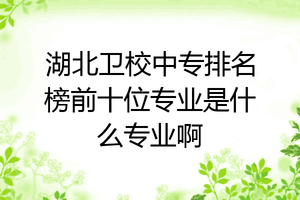 湖北卫校中专排名榜前十位专业是什么专业啊