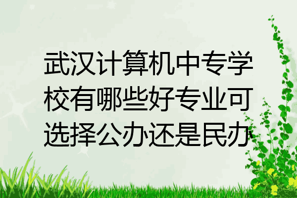 武汉计算机中专学校有哪些好专业可选择公办还是民办
