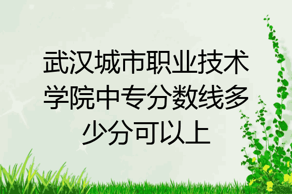 武汉城市职业技术学院中专分数线多少分可以上