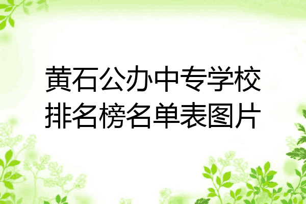 黄石公办中专学校排名榜名单表图片