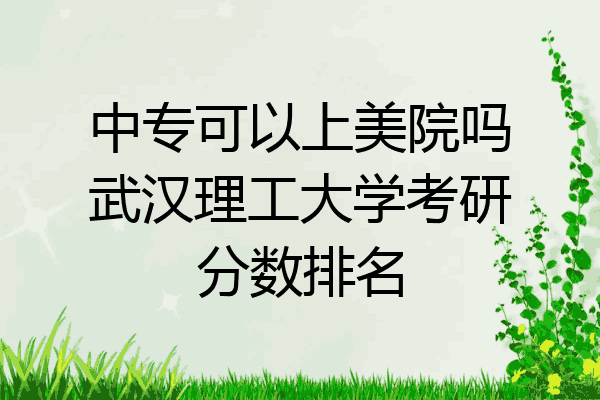 中专可以上美院吗武汉理工大学考研分数排名