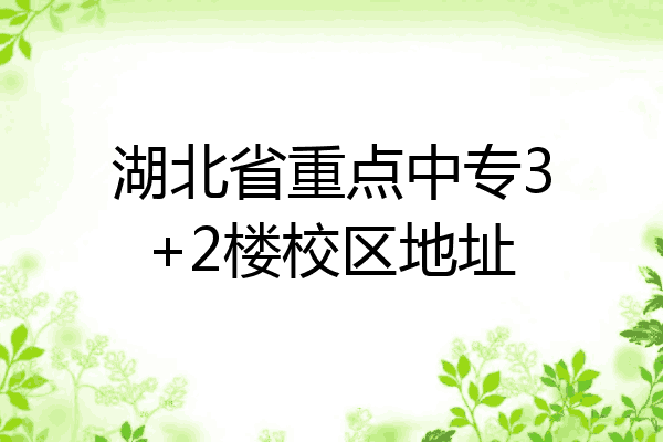 湖北省重点中专3+2楼校区地址