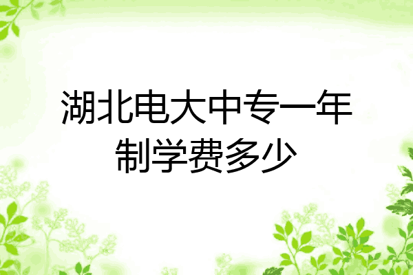 湖北电大中专一年制学费多少