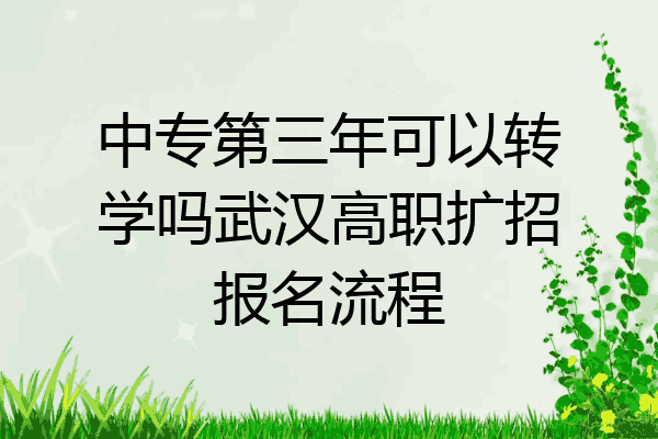 中专第三年可以转学吗武汉高职扩招报名流程