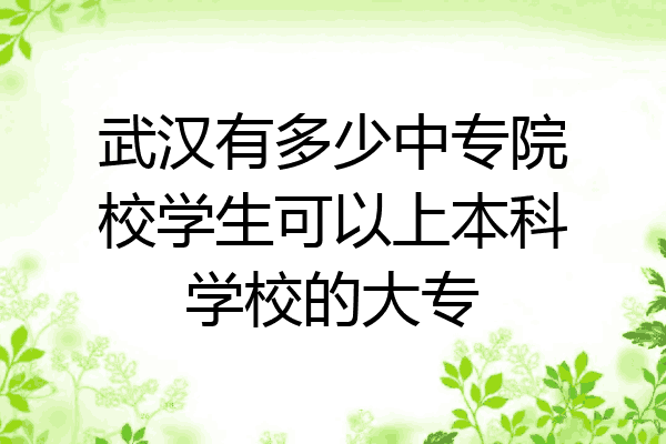 武汉有多少中专院校学生可以上本科学校的大专