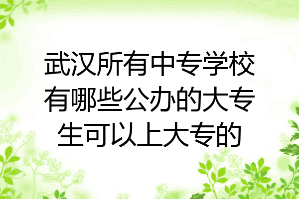 武汉所有中专学校有哪些公办的大专生可以上大专的