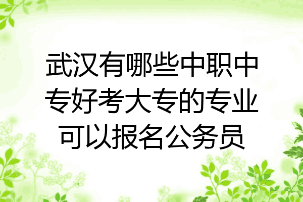 武汉有哪些中职中专好考大专的专业可以报名公务员