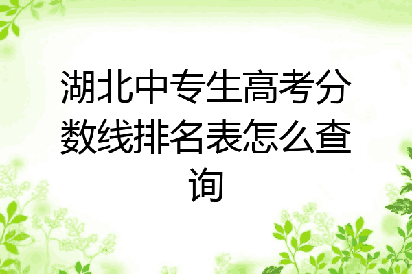湖北中专生高考分数线排名表怎么查询
