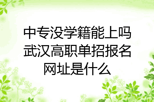 中专没学籍能上吗武汉高职单招报名网址是什么