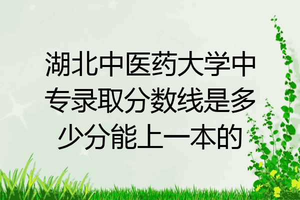 湖北中医药大学中专录取分数线是多少分能上一本的