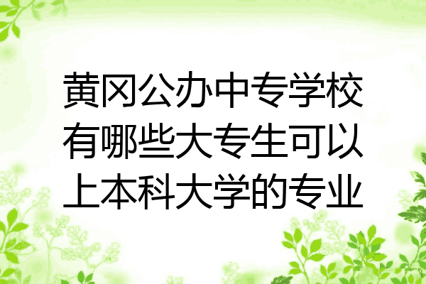 黄冈公办中专学校有哪些大专生可以上本科大学的专业