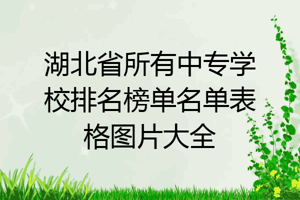 湖北省所有中专学校排名榜单名单表格图片大全
