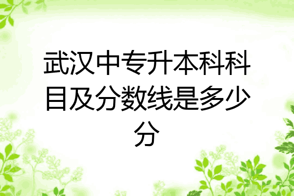武汉中专升本科科目及分数线是多少分