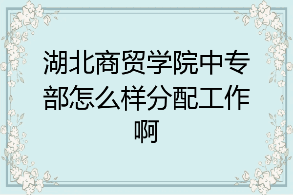 湖北商贸学院中专部怎么样分配工作啊