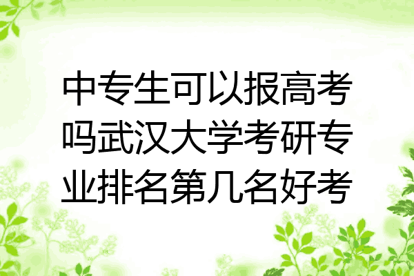 中专生可以报高考吗武汉大学考研专业排名第几名好考