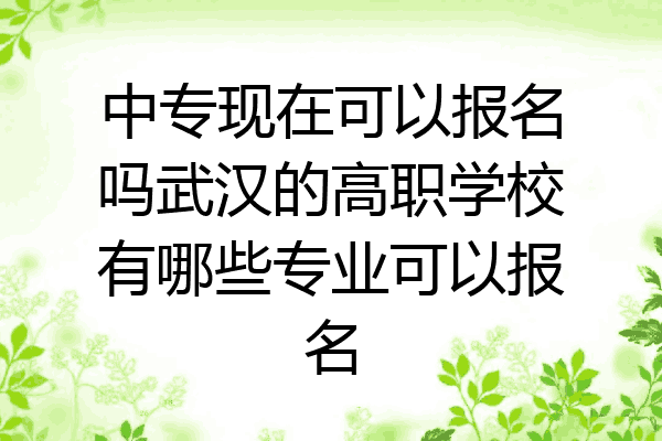 中专现在可以报名吗武汉的高职学校有哪些专业可以报名