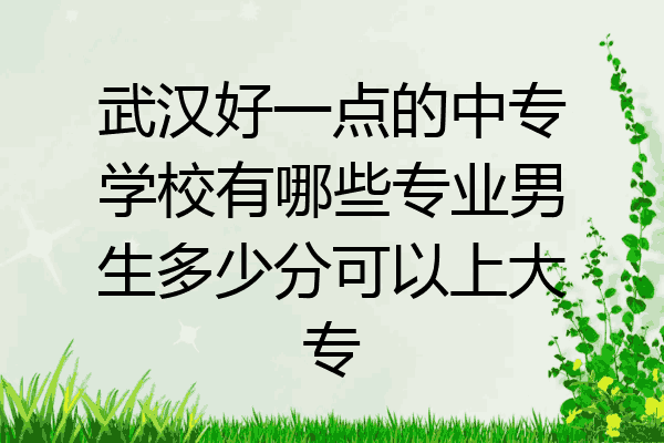 武汉好一点的中专学校有哪些专业男生多少分可以上大专