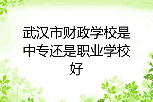 武汉市财政学校是中专还是职业学校好