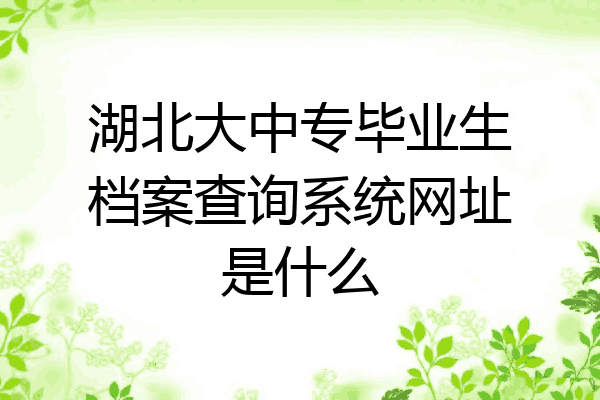 湖北大中专毕业生档案查询系统网址是什么