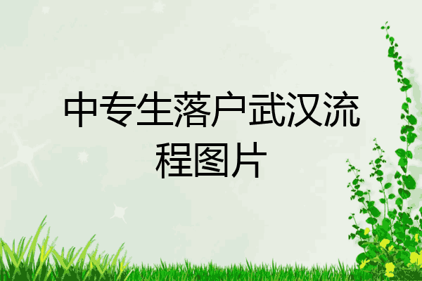 中专生落户武汉流程图片