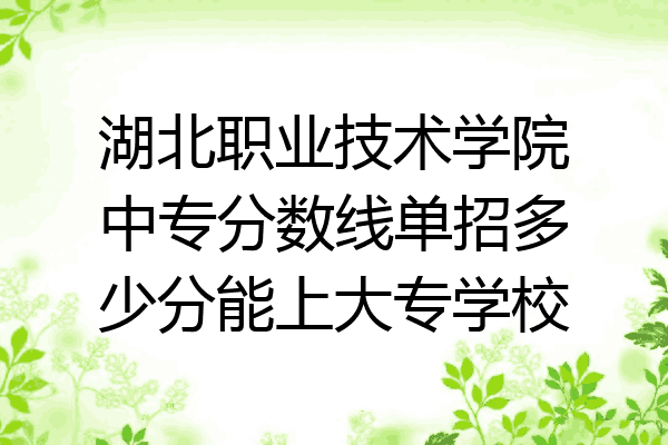 湖北职业技术学院中专分数线单招多少分能上大专学校