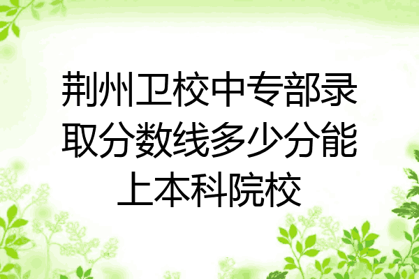 荆州卫校中专部录取分数线多少分能上本科院校
