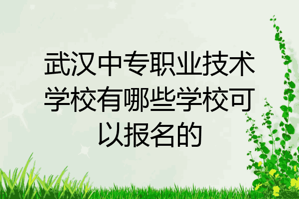 武汉中专职业技术学校有哪些学校可以报名的