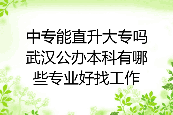 中专能直升大专吗武汉公办本科有哪些专业好找工作