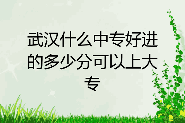 武汉什么中专好进的多少分可以上大专