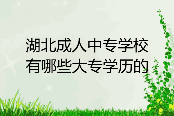 湖北成人中专学校有哪些大专学历的