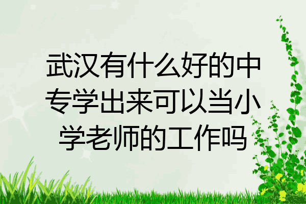 武汉有什么好的中专学出来可以当小学老师的工作吗