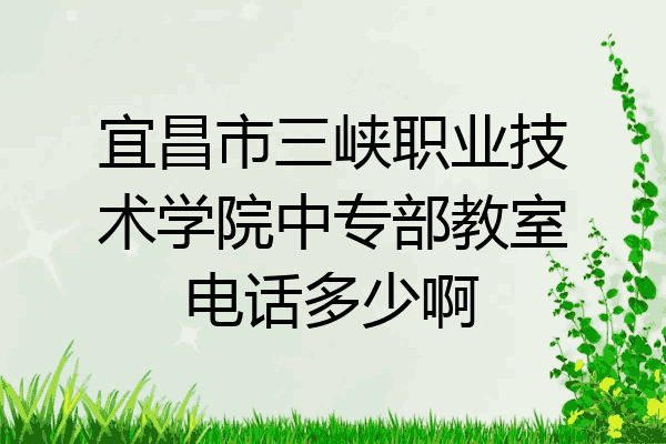 宜昌市三峡职业技术学院中专部教室电话多少啊