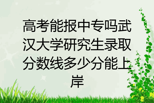 高考能报中专吗武汉大学研究生录取分数线多少分能上岸