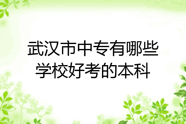 武汉市中专有哪些学校好考的本科